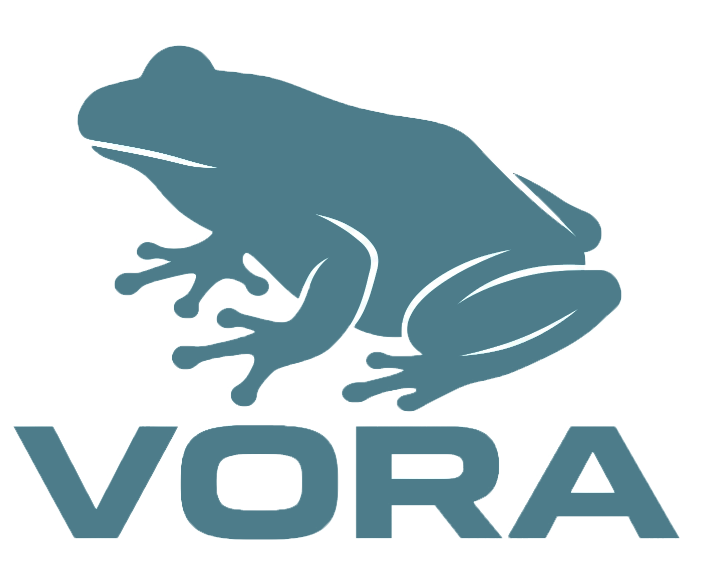 VORA - logo corporativo